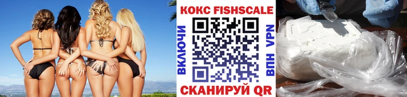 где купить Шебекино Cocaine 98%