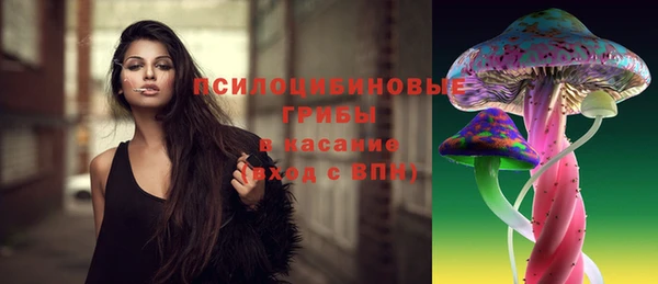 ПСИЛОЦИБИНОВЫЕ ГРИБЫ Абдулино