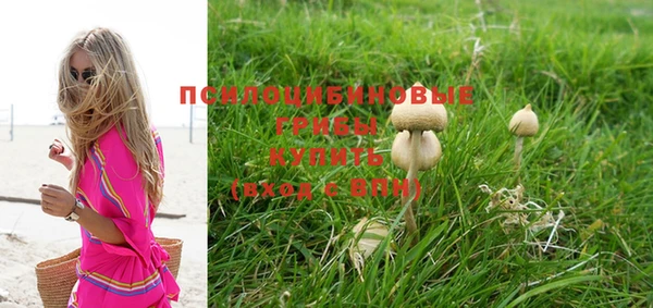 PSILOCYBIN Абинск
