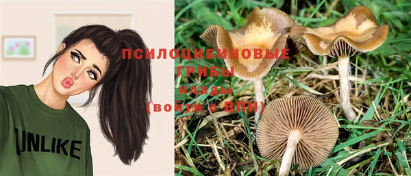 ПСИЛОЦИБИНОВЫЕ ГРИБЫ Абдулино
