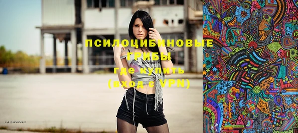 mdpv Переславль-Залесский