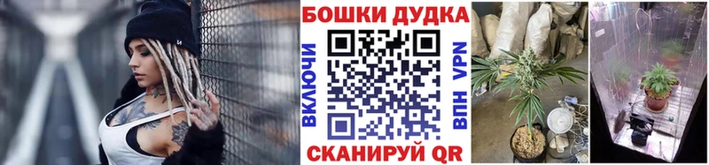 Канабис план Шебекино